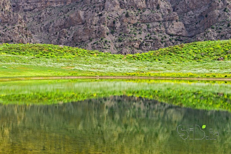 قاب عکس مدرن ساعت شني منظره   طبیعت / روستایی اثر داود ایزدپناه