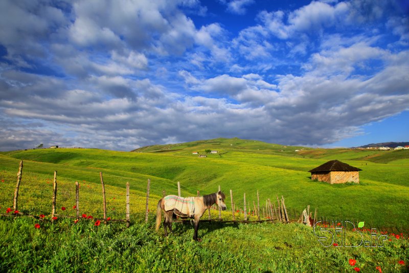 قاب عکس مدرن بدون عنوان منظره   طبیعت / روستایی اثر سعید  حسن عباسی