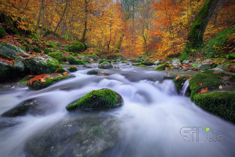 قاب عکس مدرن River in fall colors منظره   طبیعت / روستایی اثر یاسر زهری