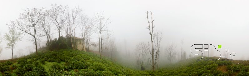 قاب عکس مدرن بدون عنوان منظره   طبیعت / روستایی اثر نعما روشن