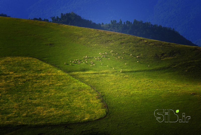 قاب عکس مدرن بدون عنوان منظره   طبیعت / روستایی اثر مهران فانی