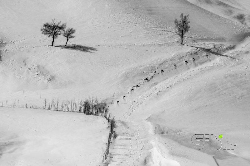 قاب عکس مدرن بدون عنوان منظره   طبیعت / روستایی اثر محسن زارع