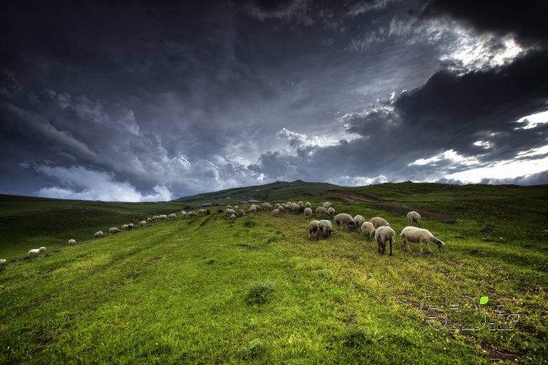 قاب عکس مدرن  منظره   طبیعت / روستایی اثر مهران فانی