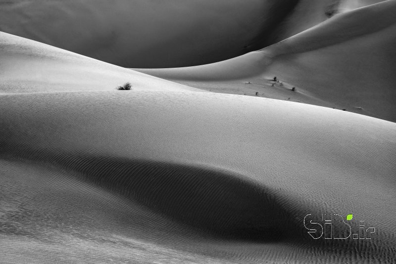 قاب عکس مدرن Desert منظره   طبیعت / روستایی اثر سعید عرب زاده