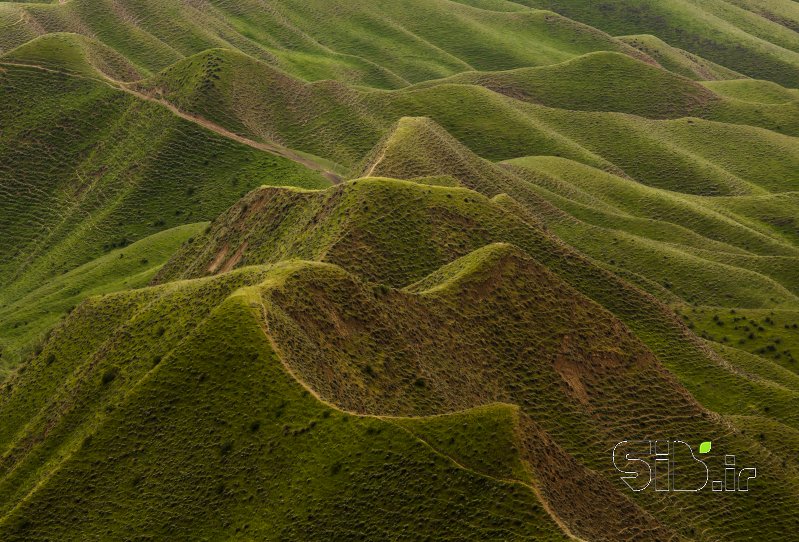 قاب عکس مدرن ترکمن صحرا منظره   طبیعت / روستایی اثر متین نوری