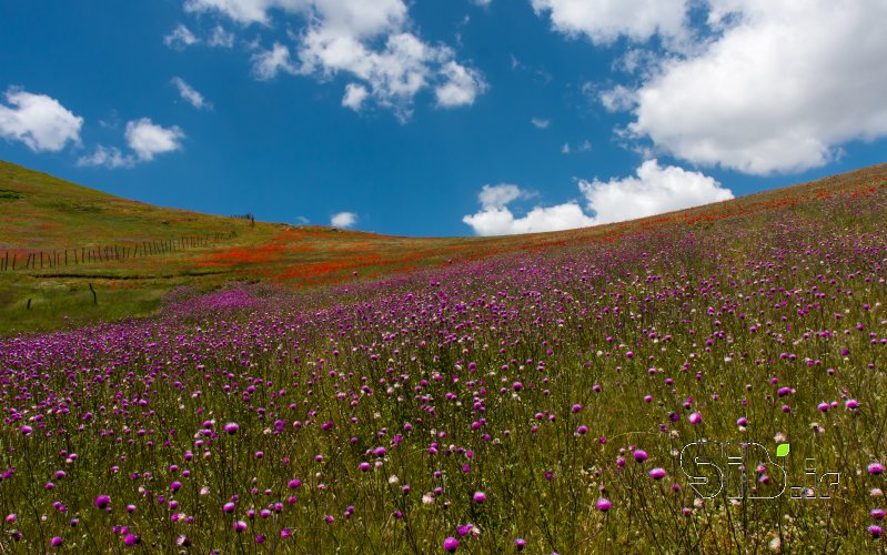 قاب عکس مدرن تالش بهاری منظره   طبیعت / روستایی اثر داوود فضائلى