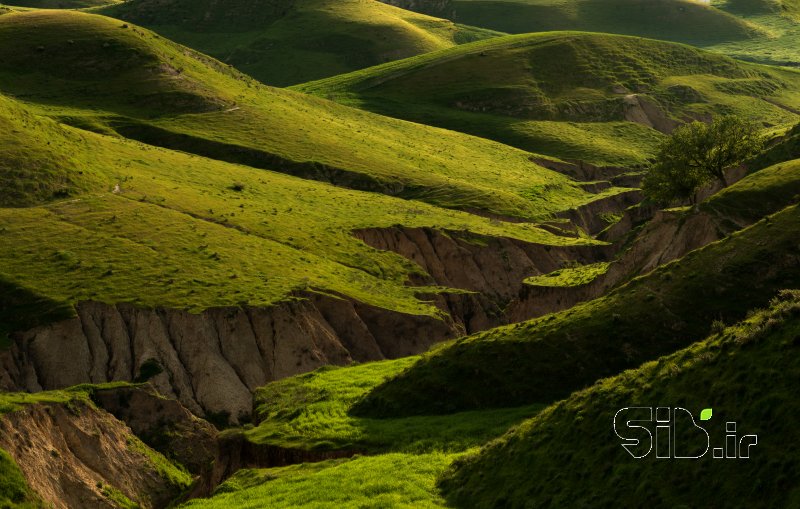 قاب عکس مدرن  منظره   طبیعت / روستایی اثر Ali Dormiani علی دُرمیانی