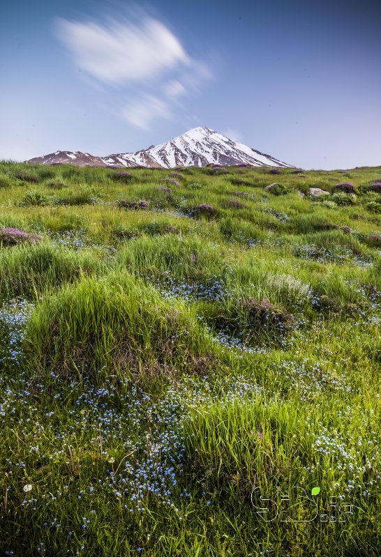 قاب عکس مدرن دماوند منظره   طبیعت / روستایی اثر فرید ثانی