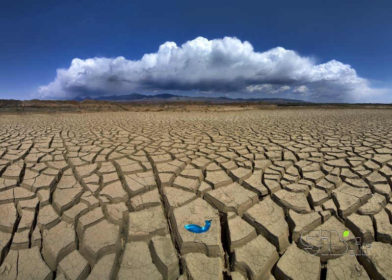 قاب عکس مدرن رؤیای ماهی منظره   طبیعت / روستایی اثر هادی دهقان پور