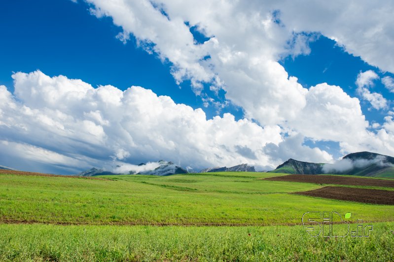 قاب عکس مدرن بهار منظره   طبیعت / روستایی اثر مصطفی رضایی