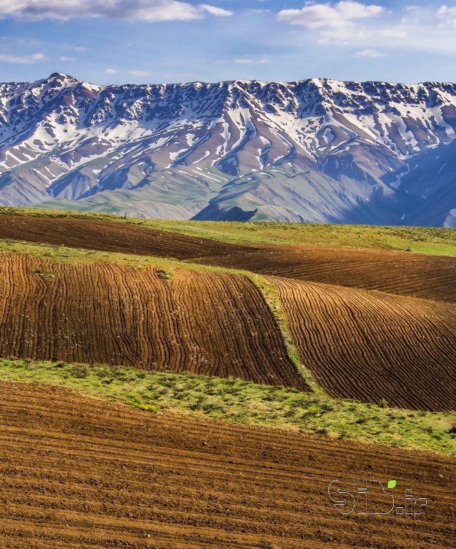 قاب عکس مدرن  منظره   طبیعت / روستایی اثر فرید ثانی