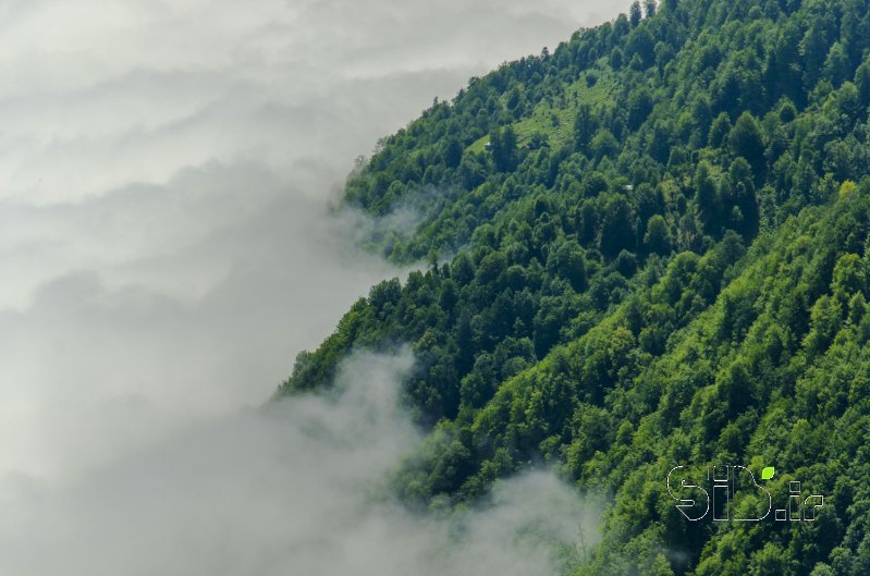 قاب عکس مدرن سبز و سفید منظره   طبیعت / روستایی اثر امید عزیزان