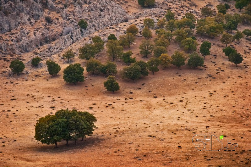 قاب عکس مدرن  منظره   طبیعت / روستایی اثر احمدرضا نيك آذر