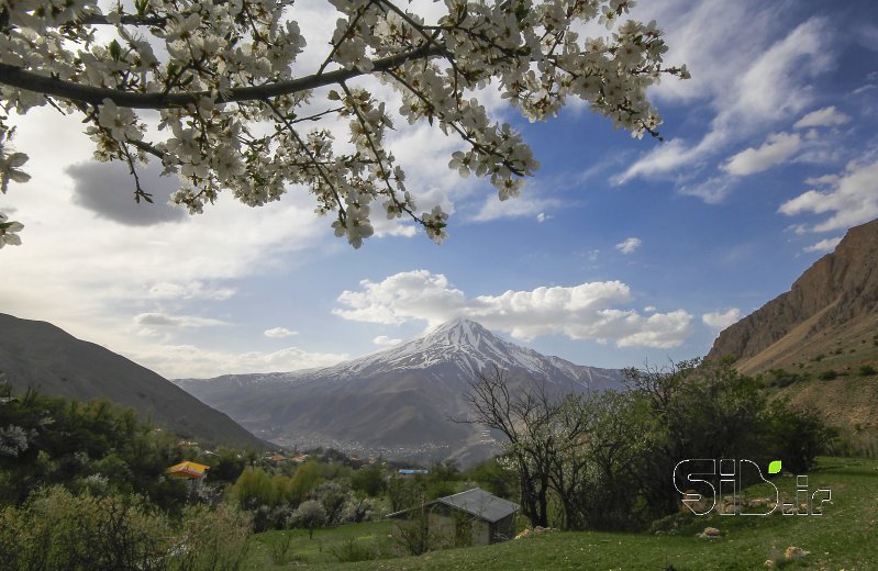 قاب عکس مدرن شکوه ِ بهاری منظره   طبیعت / روستایی اثر سعید هادی پور