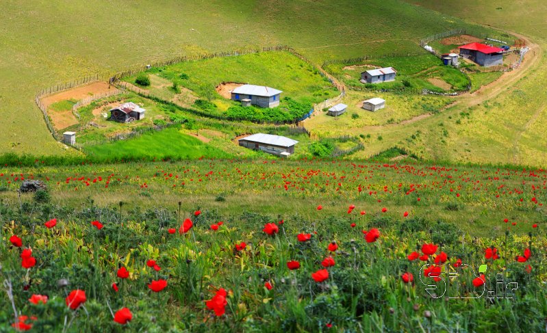 قاب عکس مدرن رویا منظره   طبیعت / روستایی اثر حسین  شفیع نیا