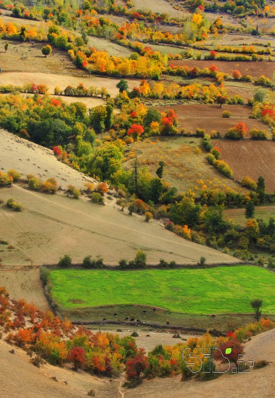 قاب عکس مدرن سبز منظره   طبیعت / روستایی اثر حسین  شفیع نیا