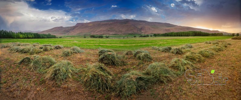 قاب عکس مدرن طبیعت باباحیدر منظره   طبیعت / روستایی اثر علی حنایی