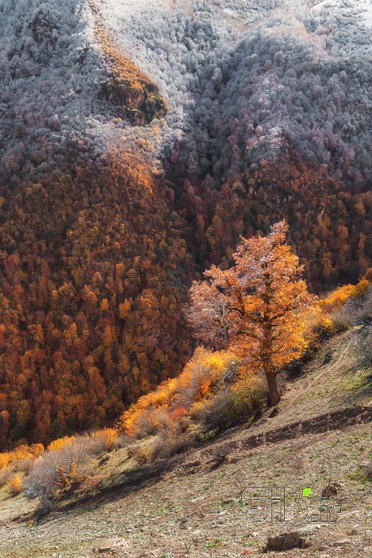 قاب عکس مدرن رقص رنگ ها منظره   طبیعت / روستایی اثر رضا روجائی