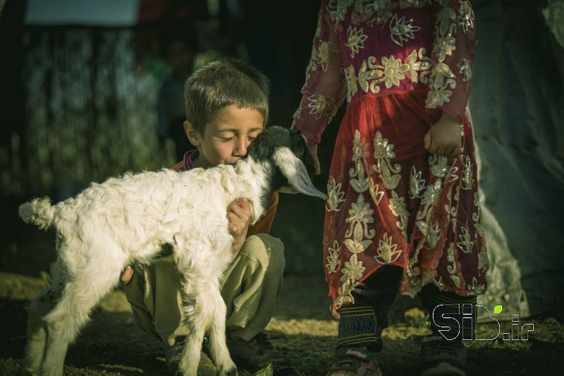 قاب عکس مدرن پسر عشایری منظره   طبیعت / روستایی اثر کیارش کرمی