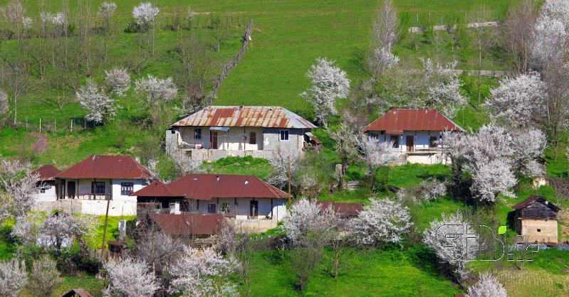 قاب عکس مدرن بهار در روستا منظره   طبیعت / روستایی اثر حسین خادمی