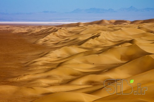 Desert Lines