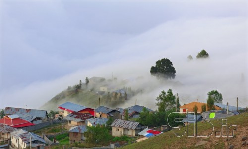 زندگی در رویا