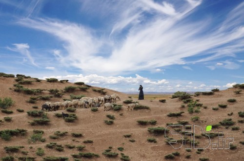 رهایی  ...