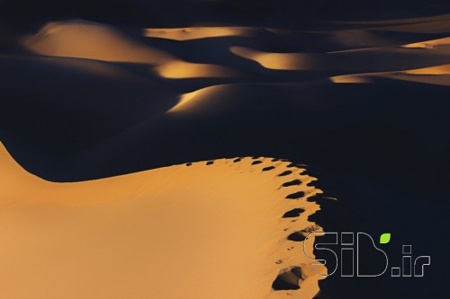 Golden Sand